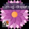 6T体育 logo