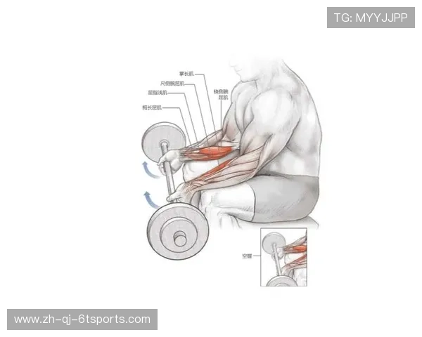 器械训练教程中的健身器材使用方法详解